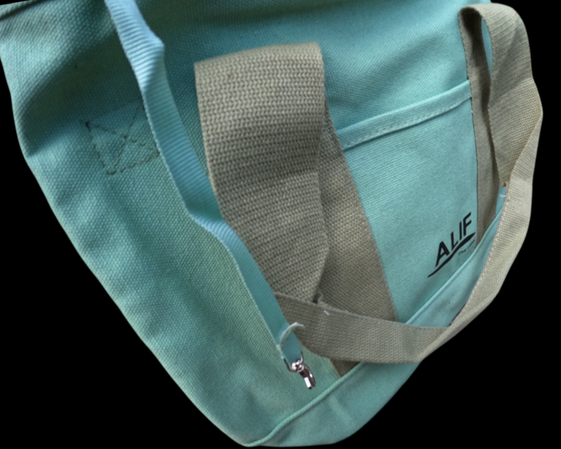 The All-Day Carryall - Pistachio